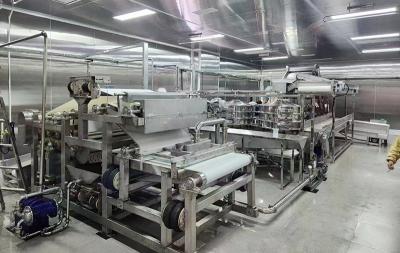 橙子榨汁生產線